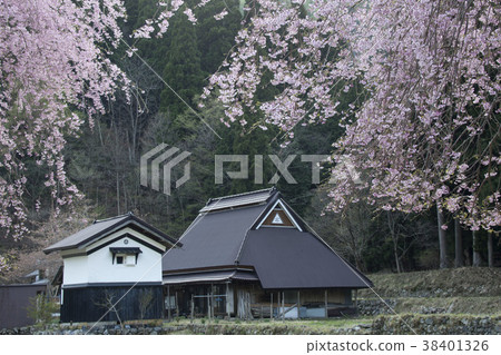 櫻花和倉庫的風景-3,Keihoku地區的春天景觀 櫻花和倉庫的風景-3,Keihoku地區的春天景觀 38401326