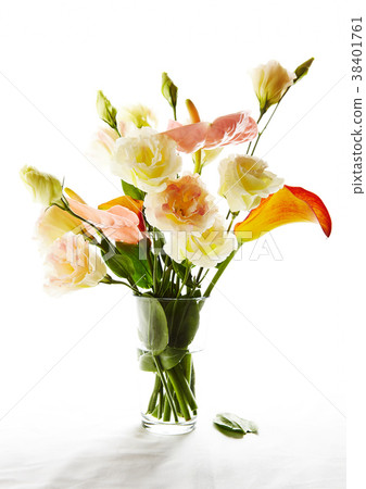 Ansurium, Kara, Rishiansas 38401761