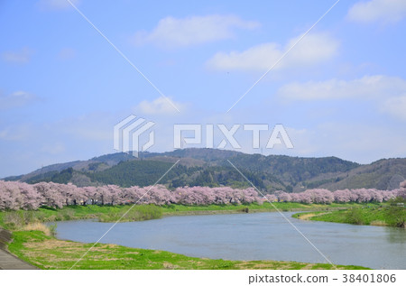 乍一看宮城縣Senbonzakura Ogiwaramachi 乍一看宮城縣Senbonzakura Ogiwaramachi 38401806
