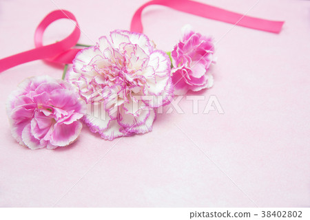 Carnations and ribbons 38402802