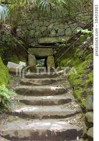  Todoroki山谷 38403983