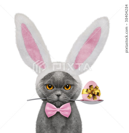 Pretty cat with rabbit ears and easter egg Pretty cat with rabbit ears and easter egg 38404284