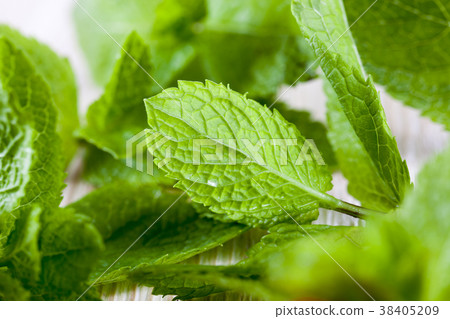 fresh green mint 38405209