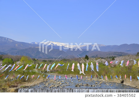 Blue sky and carp streamer and Zao Miyagi Prefecture Zao town 38405502