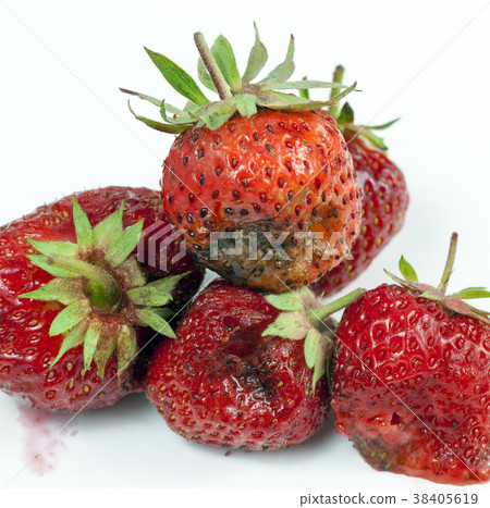 rotten ripe strawberry rotten ripe strawberry 38405619