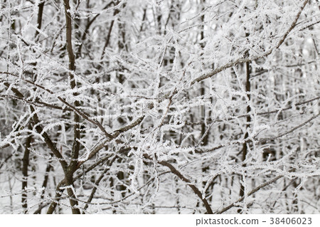 Snow in winter 38406023