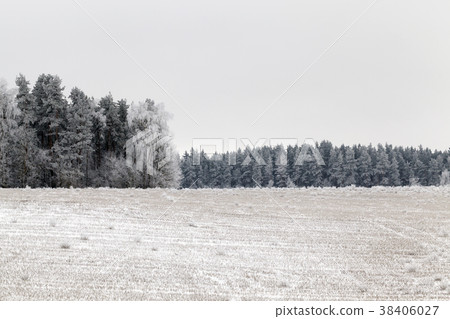 Winter landscape Winter landscape 38406027