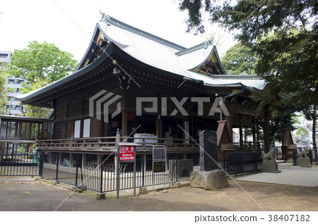 小島岸子 38407182