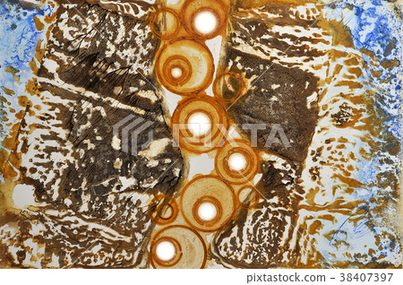 Background material abstract background original Background material abstract background original 38407397