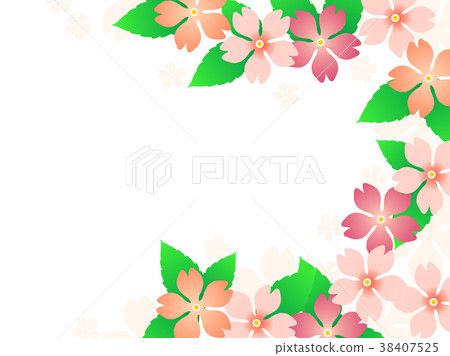 Primroses background Primroses background 38407525