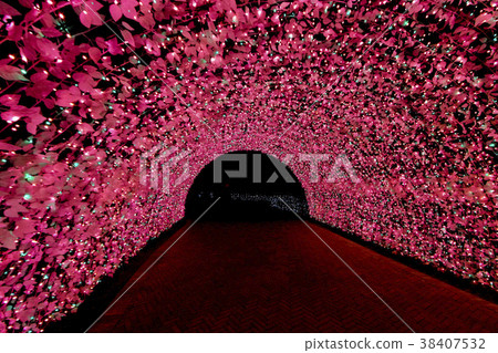 tunnel of light Tunnel  38407532