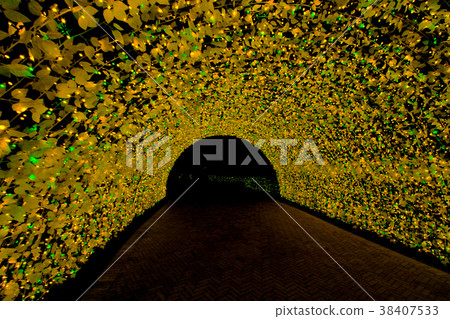 tunnel of light Tunnel  38407533