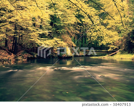 Walk among colorful fall woods and mountain river Walk among colorful fall woods and mountain river 38407913