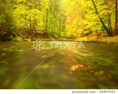 Beautiful landscape with wild river in forest Beautiful landscape with wild river in forest 38407914