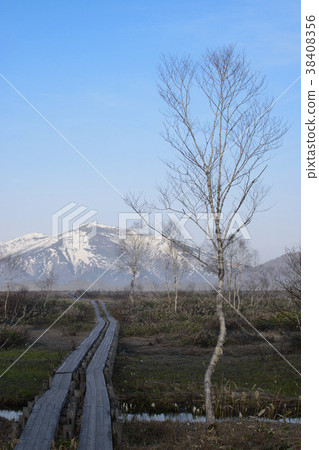 早上沼澤地和Shibutsuyama 38408356