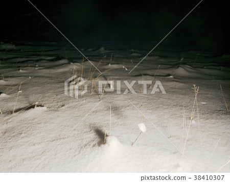 Winter dark night and plants in meadow under snow 38410307