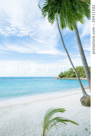 island 38411582