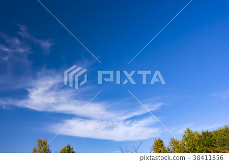 藍天和雲彩 38411856