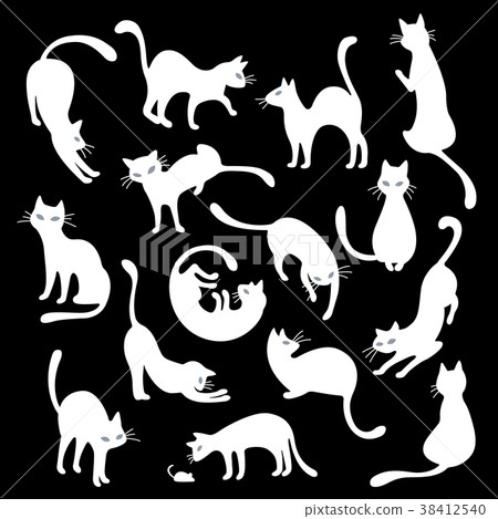 Cute cat illustration 38412540