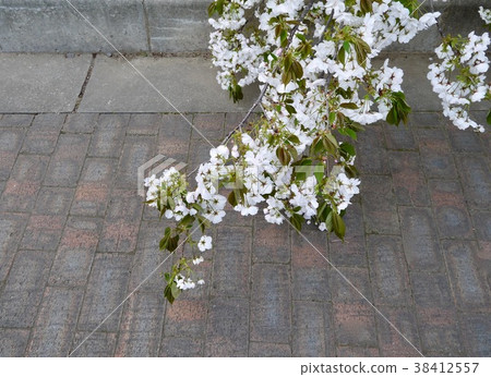 Izu best temple Eda 38412557