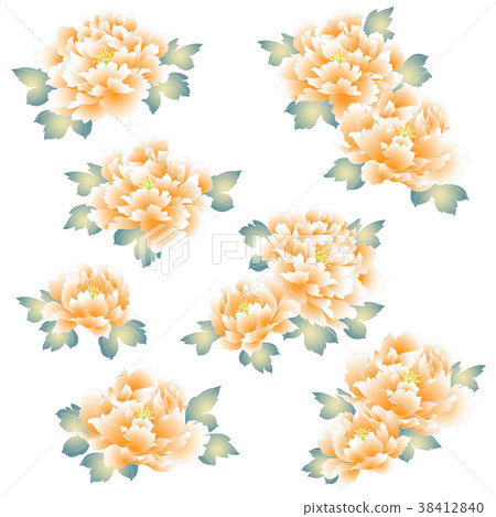 Japanese peony flower, 38412840