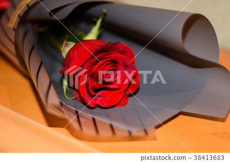 玫瑰,玫瑰花,花 玫瑰,玫瑰花,花 38413683