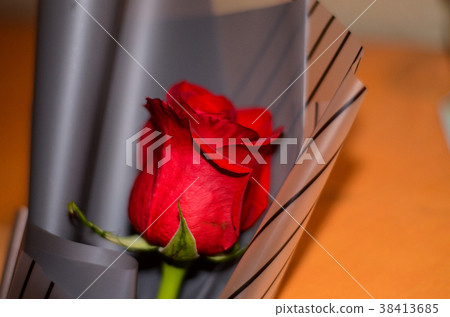 玫瑰,玫瑰花,花 38413685