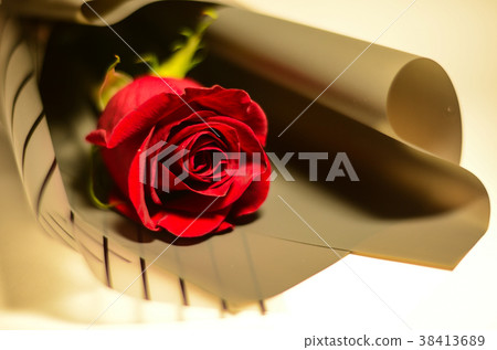 玫瑰,玫瑰花,花 玫瑰,玫瑰花,花 38413689