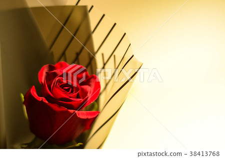 玫瑰,玫瑰花,花 玫瑰,玫瑰花,花 38413768