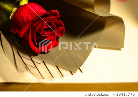 玫瑰,玫瑰花,花 38413770