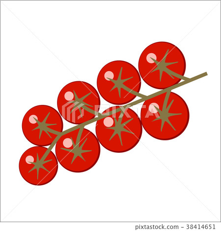 Cherry tomatoes branch on white background Cherry tomatoes branch on white background 38414651