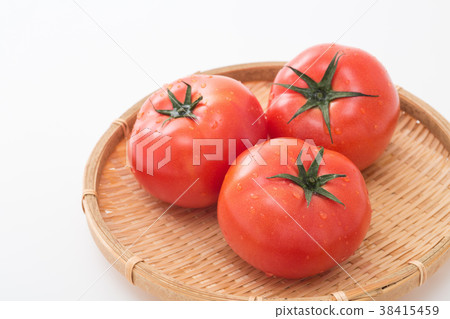 Tomato Tomato 38415459