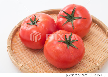 Tomato   38415460