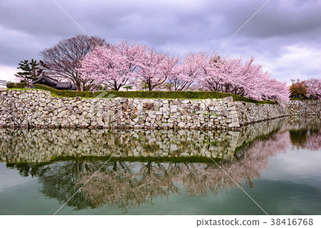 Himeji Castle Japan 38416768