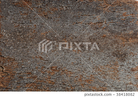 Close Up Background and Texture of Cork Board Wood Close Up Background and Texture of Cork Board Wood 38418082