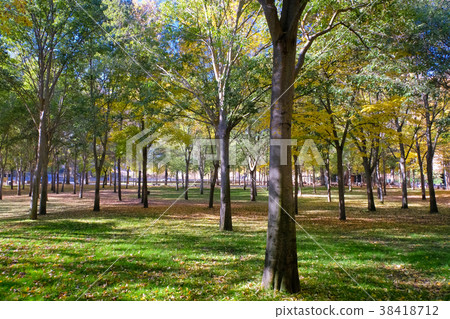 Segovia Park Alameda de la Fuencisla 38418712