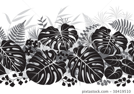 Tropical Plants Monochrome Pattern Tropical Plants Monochrome Pattern 38419510