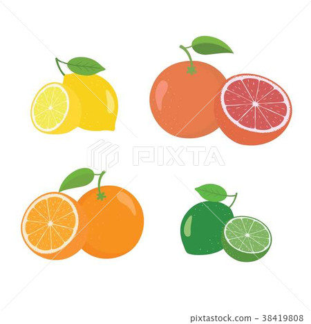 Fresh citrus fruits whole and halves 4 icons Fresh citrus fruits whole and halves 4 icons 38419808