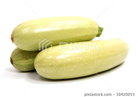 Single squash vegetable marrow zucchini isolated  38420055