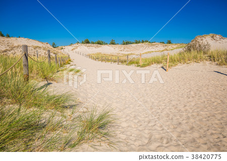 Moving dunes park near Baltic Sea in Leba, Poland 38420775