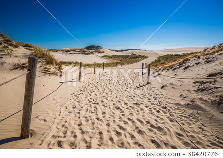 Moving dunes park near Baltic Sea in Leba, Poland 38420776
