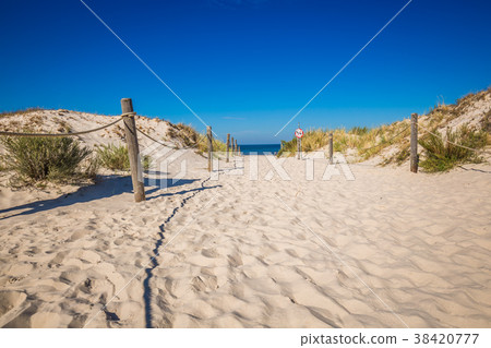 Moving dunes park near Baltic Sea in Leba, Poland 38420777