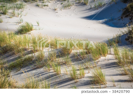 Moving dunes park near Baltic Sea in Leba, Poland 38420790