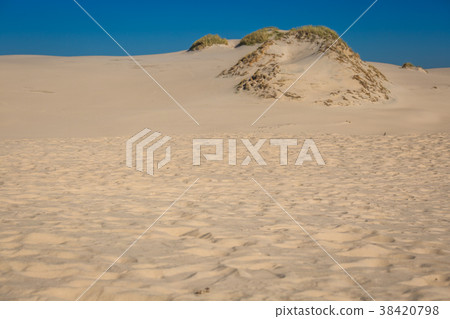 The dunes of the Slowinski national park in Poland 38420798