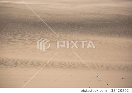 Moving dunes park near Baltic Sea in Leba, Poland 38420802