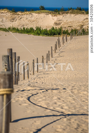 The dunes of the Slowinski national park in Poland The dunes of the Slowinski national park in Poland 38420806