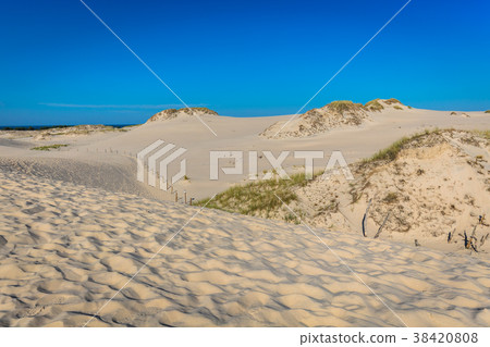 The dunes of the Slowinski national park in Poland 38420808