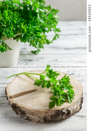 Bunch of parsley on white wooden background Bunch of parsley on white wooden background 38420921