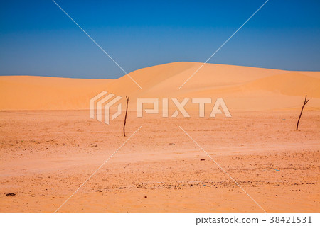 Sand dunes of Sahara desert near Ong Jemel Sand dunes of Sahara desert near Ong Jemel 38421531