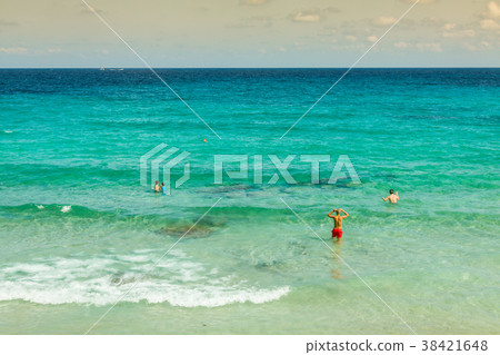 Cala Nova beach in Ibiza island in Balearic  38421648